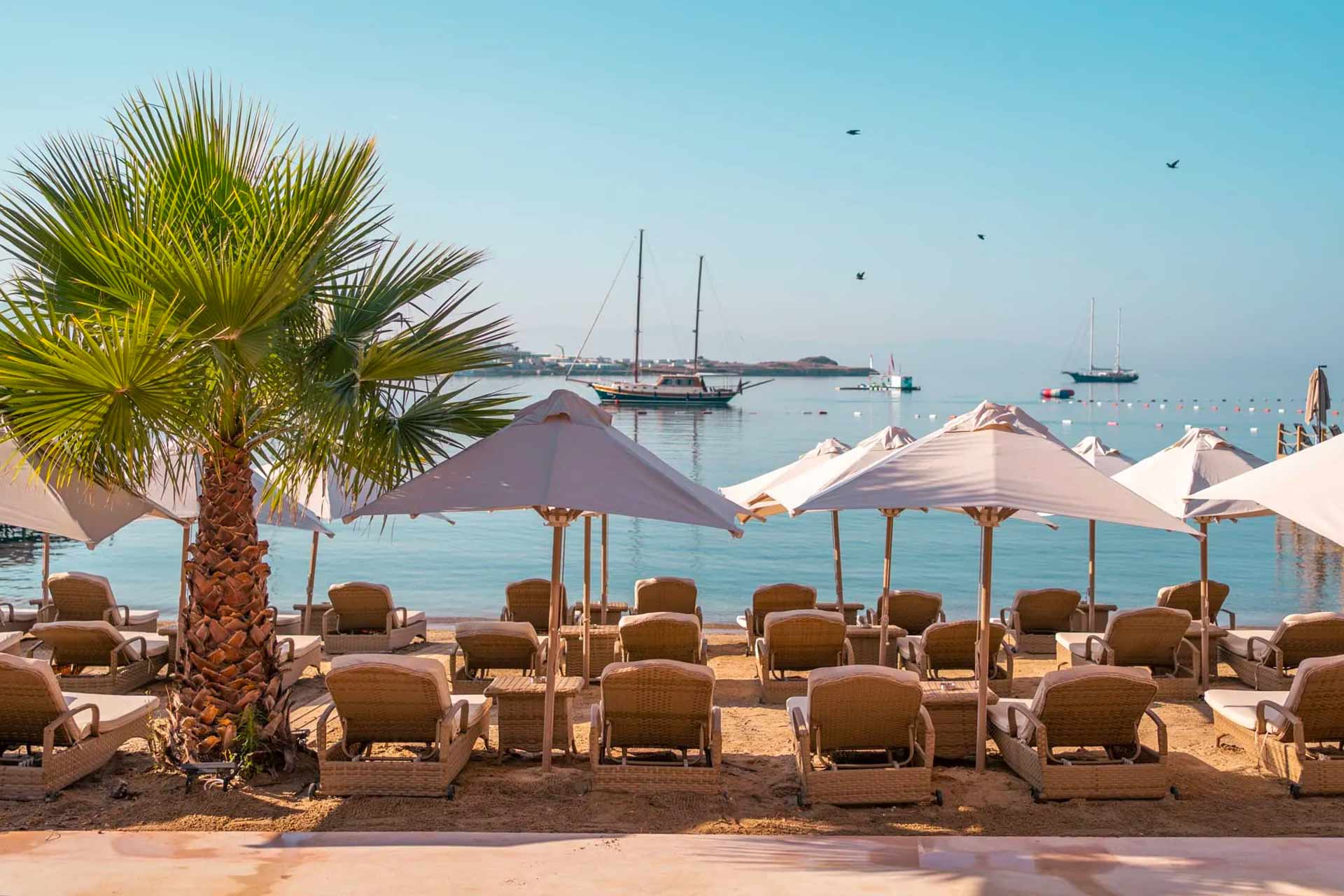 Beach & Pool